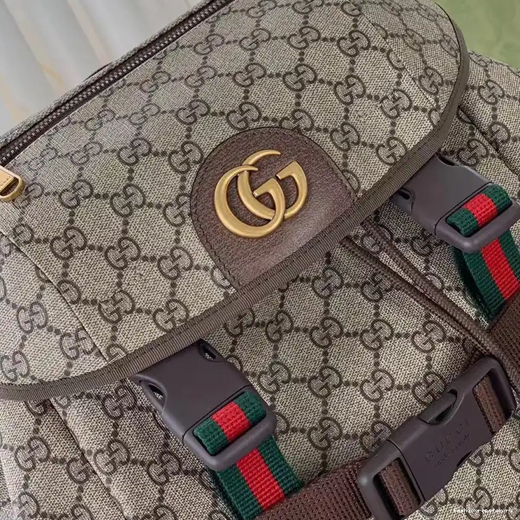 Fashionrep Bag Gucci 2205HT0007 0308